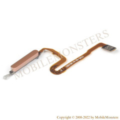 Šleife Xiaomi Redmi Note 10 Pro (M2101K6G) Pirkstu nospiedumu sensors Bronze